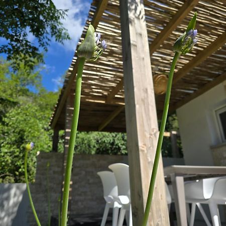 Petite Maison - Porto-Vecchio Εξωτερικό φωτογραφία