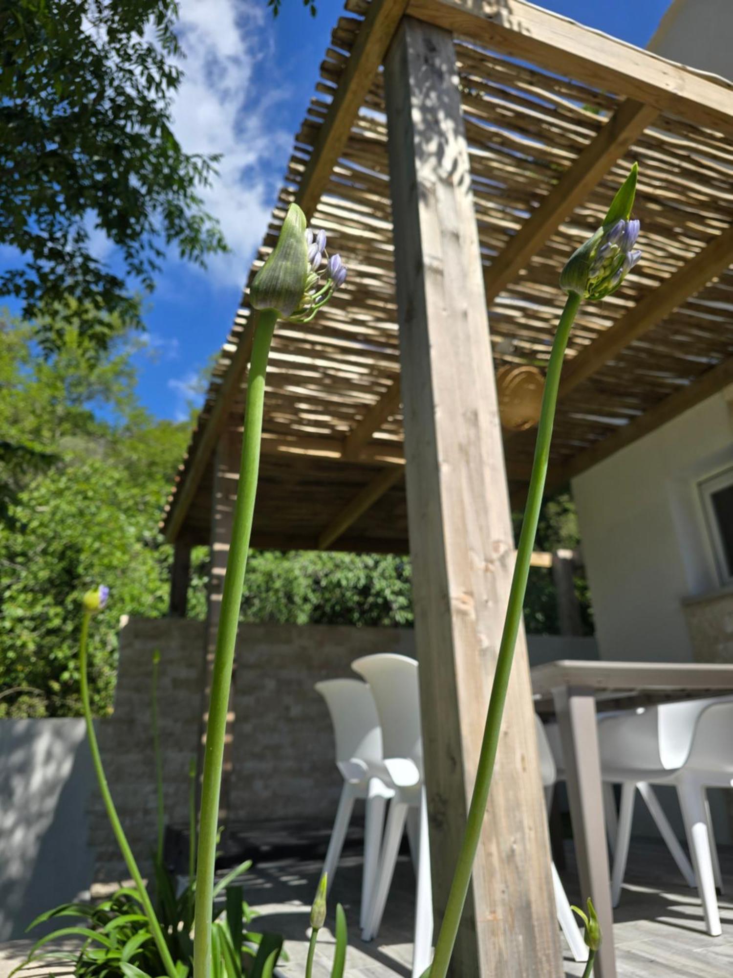 Petite Maison - Porto-Vecchio Εξωτερικό φωτογραφία